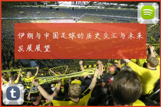 伊朗与中国足球的历史交汇与未来发展展望