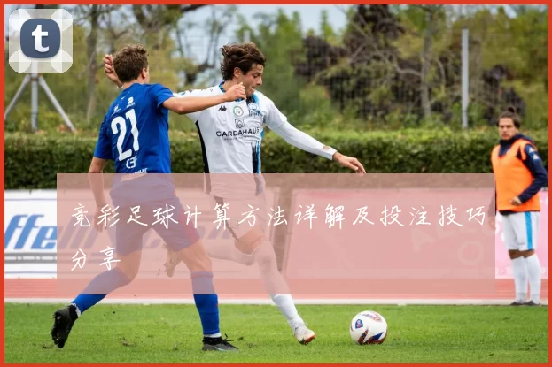 竞彩足球计算方法详解及投注技巧分享