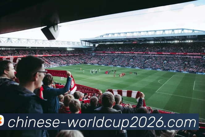 2026世界杯服务体系